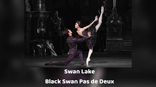 The Royal Ballet  Swan Lake Black Swan Pas de Deux [upl. by Freud]