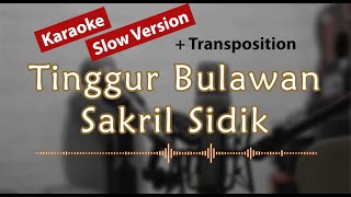 Karaoke  Slow Version  Tinggur Bulawan Sakril Sidik  1 Key Transposition [upl. by Eilahs]