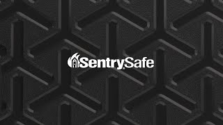 SentrySafe Fireproof Safe vs Other Brands Competitive Testing [upl. by Lynus]