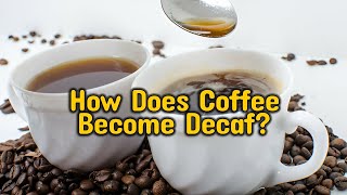 How Does Coffee Become Decaf The Decaffeination Process Explained [upl. by Calie767]