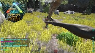 Ark Survival of the Fittest 079  Traumstart mit Töppi ◈ SotF Gameplay German Deutsch [upl. by Chaves]