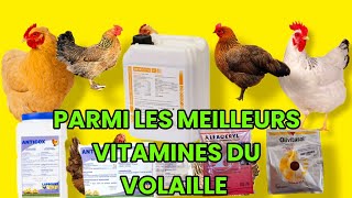 Astuce pour volaille voici parmi les meilleurs vitamines du volaille produits vétérinaire à écouter [upl. by Linnette]