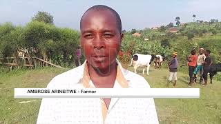 Farmers demand vaccines after Anthrax outbreak [upl. by Zohar]