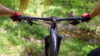 Local Trail Day at Specialized France  Destination trail [upl. by Bose514]