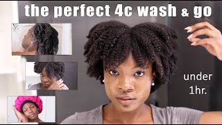 Easiest 4C Wash and Go Routine For Beginners Natural Hair Wash Day  Care Throughout The Week [upl. by Ecnedac]