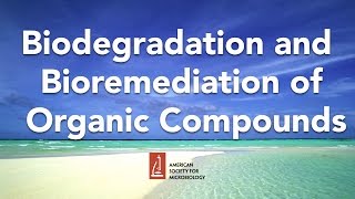 Biodegradation and Bioremediation of Organic Compounds by Lawrence Wackett PhD [upl. by Yrffej66]