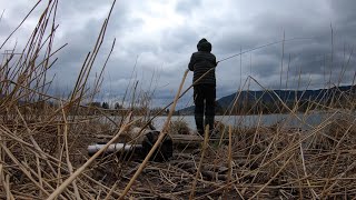 Seeforelle nach schlechtem Wetter  LIVEBISSE 💥 [upl. by Cleveland]