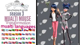 Miraculous season 3  Mualti mouse  Transformation  Mualti languages [upl. by Lered]