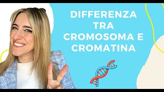 CROMATINA CROMOSOMA E DNA  DIFFERENZE 🧬 [upl. by Najram]