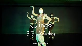 Jellybean  Jingo UK VersionㅣBISU WaackingㅣMID DANCE STUDIO [upl. by Daigle]