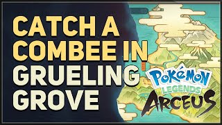 Catch a Combee in Grueling Grove Pokemon Legends Arceus [upl. by Nosoj]