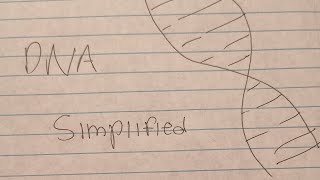 Explaining DNA like Im 5 [upl. by Halverson]