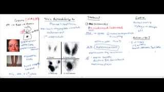 Hypothyroidism Hyperthyroidism Thyroid Storm for the USMLE [upl. by Eirojam]