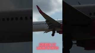 Corendon 737 landing on RWY25 at Newcastle International Airport newcastleairport aviation shorts [upl. by Fianna478]