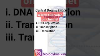 Difference between transcription and translation  online biology  biologybasixSM  study routin [upl. by Beverley437]