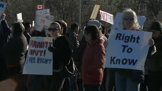 Protests held over Ottawas plan to house asylum seekers [upl. by William]