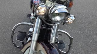 1998 HarleyDavidson Fatboy 95th Anniversary Python [upl. by Nelleyram]