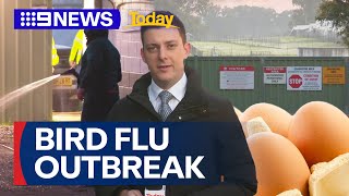 Bird flu strain discovery forces Sydney egg farm into bio lockdown  9 News Australia [upl. by Nollid304]