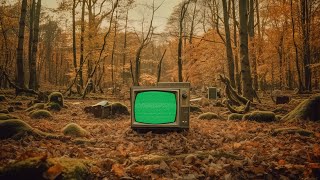 Old Retro TV in Forest Green Screen  4K  Vintage  Global Kreators [upl. by Purington]