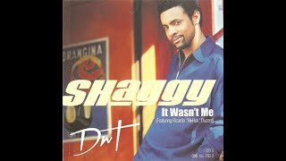 Shaggy It wasnt me Lyrics [upl. by Ardna]