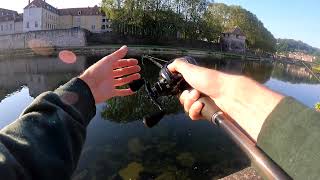 Le whopper plopper cest cool silure 1m86 [upl. by Acirej]