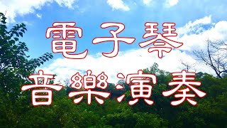 送君情淚【電子琴音樂演奏】 [upl. by Neltiac]