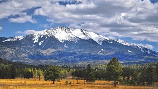 Scenic Drive through Flagstaff Arizona [upl. by Eusebio]