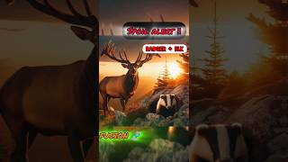 Hybrid creation of BADGER ampELK 🧬🧬fusioncreationn shortvideos ytshorts trending fusion [upl. by Aila424]