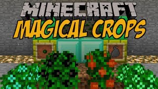 ERZE WACHSEN ALS PFLANZEN  Magical Crops Mod  Minecraft Mod Review DEUTSCH [upl. by Richers]