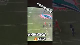 Jaylen waddle touchdown ￼ [upl. by Finnie]