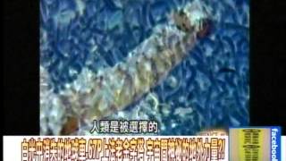 白光中消失的地球車，67P上法老金字塔 宇宙間神祕的地外力量？！2014111307 [upl. by Ateikan940]