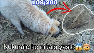 kukurale ke nikalo yesto 😱🤯 108200 Daley vlog [upl. by Eybba239]