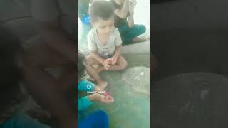 veena cute cutebaby veeni song shortvideos baby funny veenu veenas [upl. by Zetnauq]