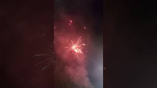 Chaos 100 shot firework 🎆 [upl. by Taggart366]