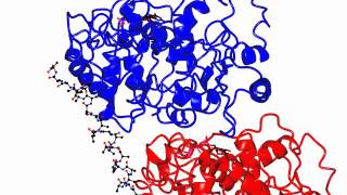 Microtubule regulator [upl. by Meadows781]