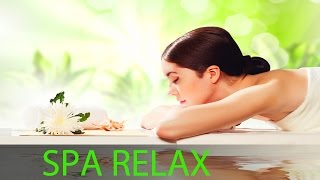 6 Hour Relaxing Spa Music Yoga Music Soothing Music Massage Music Calming Music ☯361 [upl. by Wenonah]