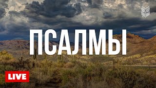 🔴 Библия онлайн Книга Псалмов  Современный перевод 247 [upl. by Alphonso]