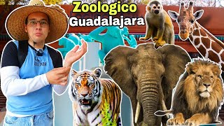 Conocimos El Zoológico De GUADALAJARA😯2024 SkyZoo⛅️Safari Masai Mara🐘 Acuario❄️ [upl. by Nallac537]