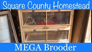 DIY space saving MEGA Brooder [upl. by Leahcimnhoj589]