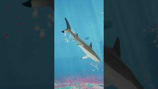 ABZÛ  Shark Week 2024  Zebra Shark [upl. by Sharai988]