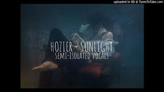 Hozier  Sunlight semiisolated vocal version [upl. by Lramaj]