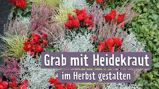 GrabGestaltung Tolle Herbstbepflanzung mit Erika  MDR Garten [upl. by Phippen62]