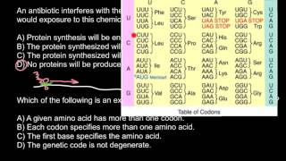 Interaction of Antibiotics and Ribosomes [upl. by Anagnos495]