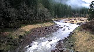 The Hemlock Dam Removal Story  Columbia Basin Restoration [upl. by Quickman]