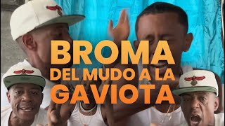 Broma del mudo a la GAVIOTA🤣🤣🤣🤣 [upl. by Redna]