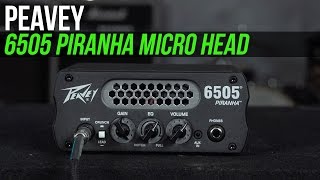 Peavey 6505 Piranha Micro Head [upl. by Aleb316]