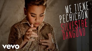 Silvestre Dangond  Me Tiene Pechichón Official Video [upl. by Kieryt]