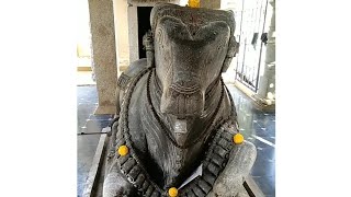 Nandhi Vigraha  Kalleshvara Temple Aralaguppe in Karnataka India [upl. by Otrebogad]