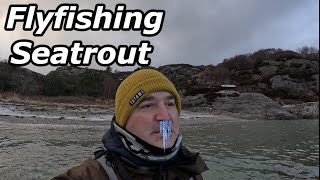 Norway ICE COLD Seatrout Fishing [upl. by Anirac]