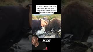 Moments before Timothytreadwell amp his gf were mauled 😳😳😳😳 bears bear bearattack fypシ viral [upl. by Eemyaj]